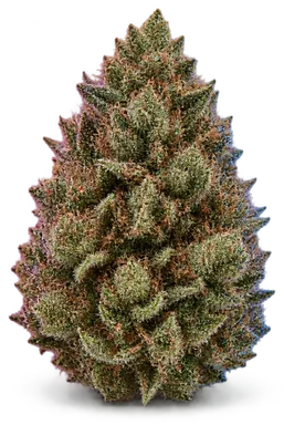 AI-generated illustration of a cannabis flower for the Wedding Crasher page, not a photo of the strain