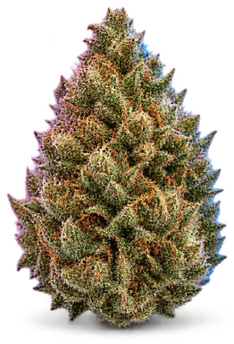 AI-generated illustration of a cannabis flower for the Wedding Pie page, not a photo of the strain