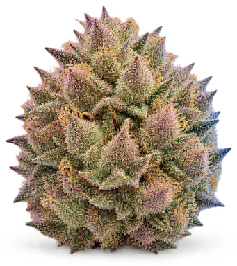 AI-generated illustration of a cannabis flower for the White Cherry Truffle page, not a photo of the strain