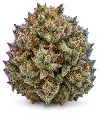 AI-generated illustration of a cannabis flower for the White Durban page, not a photo of the strain