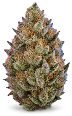AI-generated illustration of a cannabis flower for the White Fire OG page, not a photo of the strain