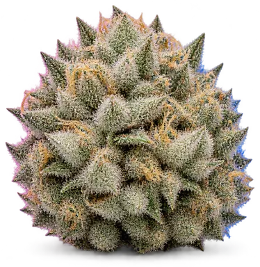 AI-generated illustration of a cannabis flower for the White Lemons page, not a photo of the strain