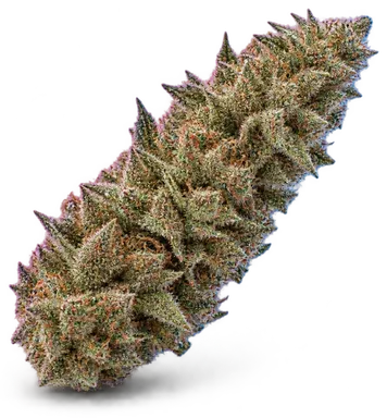 AI-generated illustration of a cannabis flower for the White OG page, not a photo of the strain