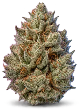 AI-generated illustration of a cannabis flower for the White Runtz page, not a photo of the strain