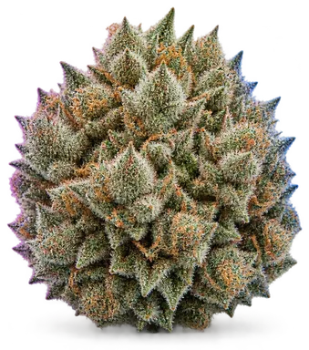 AI-generated illustration of a cannabis flower for the White Tai page, not a photo of the strain