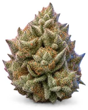 AI-generated illustration of a cannabis flower for the White Valley OG page, not a photo of the strain
