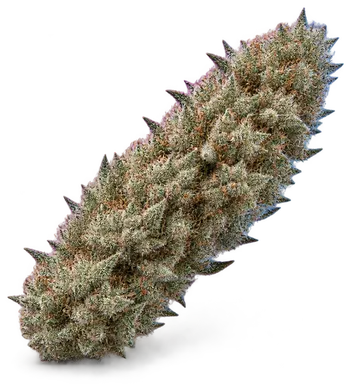 AI-generated illustration of a cannabis flower for the White Widow page, not a photo of the strain