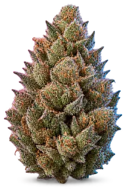AI-generated illustration of a cannabis flower for the Whoasiwhoa page, not a photo of the strain