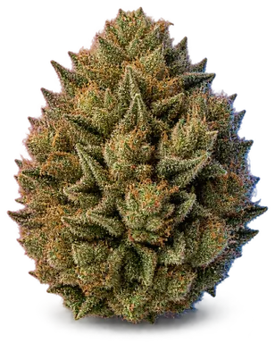 AI-generated illustration of a cannabis flower for the Whoa-Si-Whoas page, not a photo of the strain