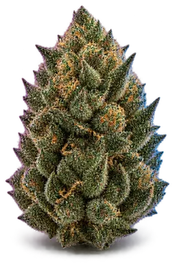 AI-generated illustration of a cannabis flower for the Wonder Dawg page, not a photo of the strain