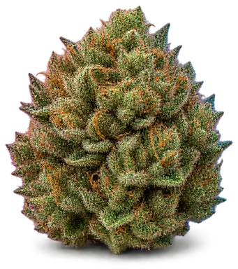 AI-generated illustration of a cannabis flower for the Wookie page, not a photo of the strain