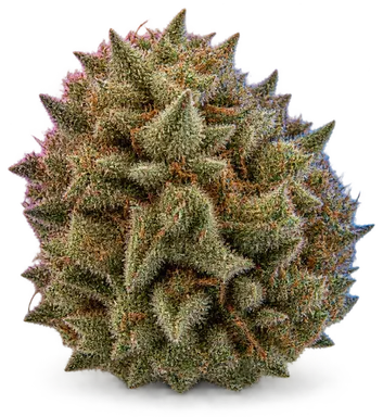 AI-generated illustration of a cannabis flower for the Wook Stomper page, not a photo of the strain