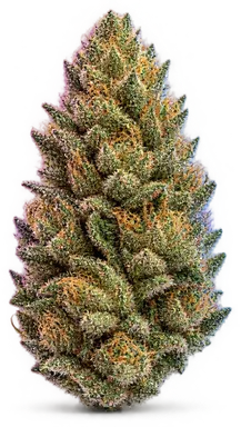AI-generated illustration of a cannabis flower for the Yeah Buddy page, not a photo of the strain