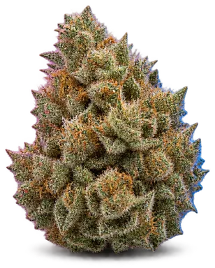AI-generated illustration of a cannabis flower for the Zap Pack page, not a photo of the strain