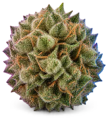 AI-generated illustration of a cannabis flower for the Zeroes page, not a photo of the strain