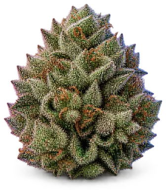 AI-generated illustration of a cannabis flower for the Zkittles Cake page, not a photo of the strain