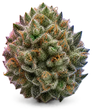 AI-generated illustration of a cannabis flower for the Zkittlez page, not a photo of the strain