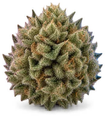 AI-generated illustration of a cannabis flower for the Zlurpeee page, not a photo of the strain