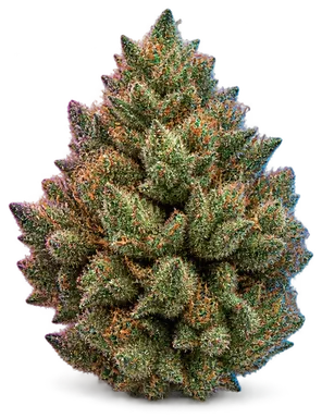 AI-generated illustration of a cannabis flower for the Zookies page, not a photo of the strain