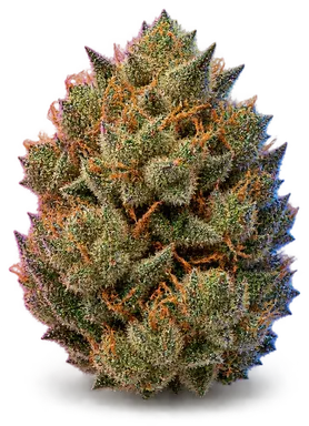 AI-generated illustration of a cannabis flower for the Z-Pie page, not a photo of the strain