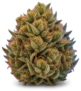 AI-generated illustration of a cannabis flower for the Z Runtz page, not a photo of the strain